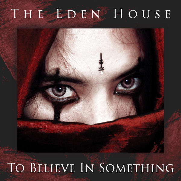 TBIS Cover Jpeg 600px 72dpi